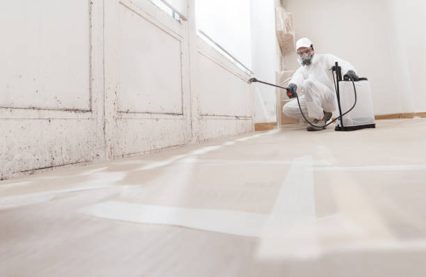 24/7 Emergency Mold Remediation experts in Olney, IL