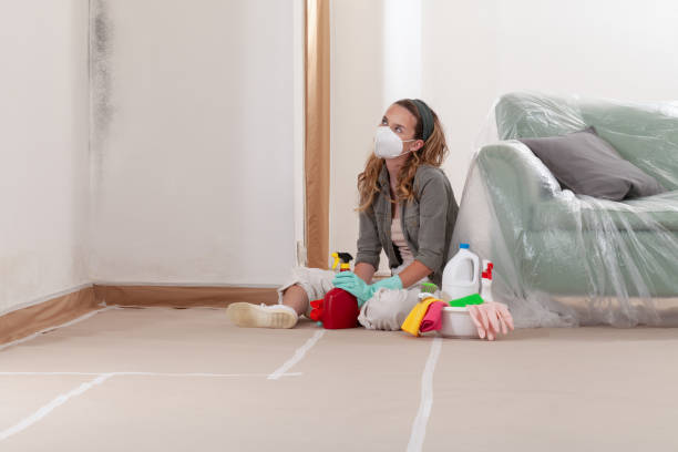 Reliable Mold Remediation contractor in Olney, IL by 24 Hour Mold Removal