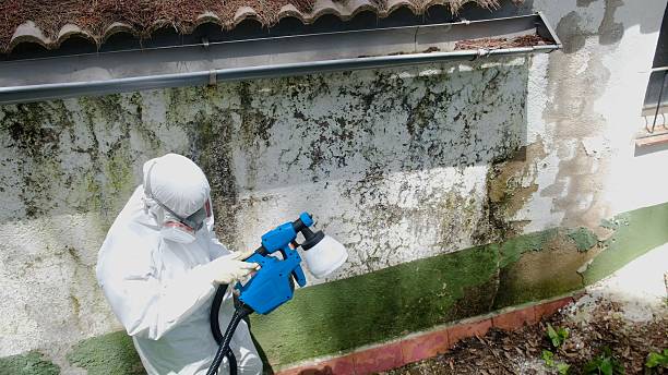 Top rated local Mold Remediation specialists in Olney, IL